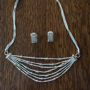 Gorgeous necklace and earrings